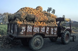 mitti attar production 3