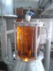 Eucalyptus essential oil